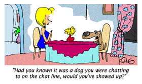 Meet new people and dogs in chat rooms