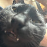 Profile picture of Alley